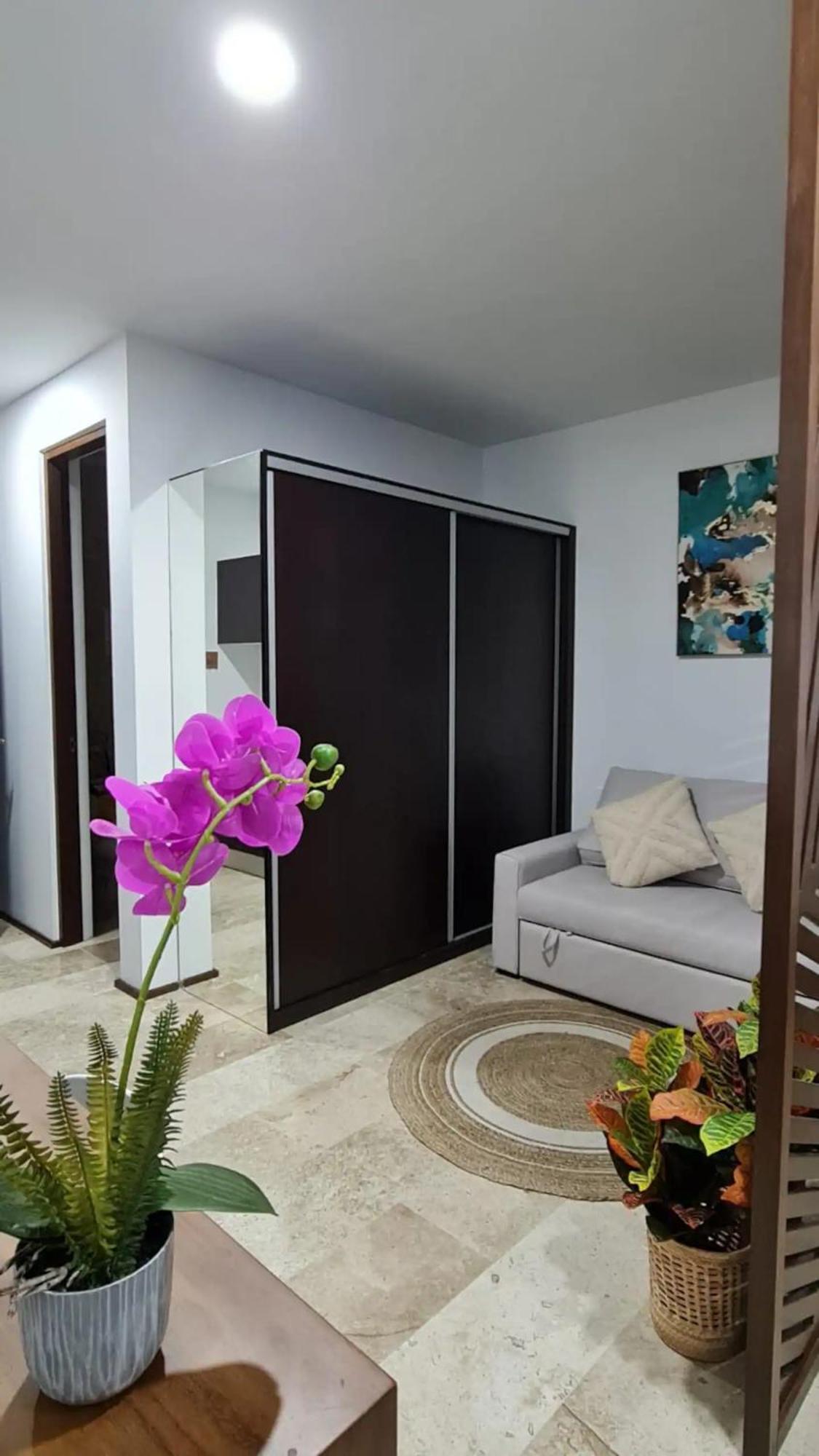 Tulum Departamento De Lujo 아파트 외부 사진
